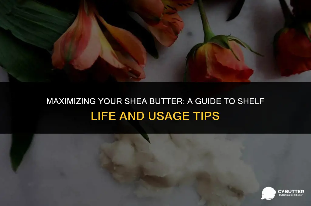 how long does 1 lb shea butter last