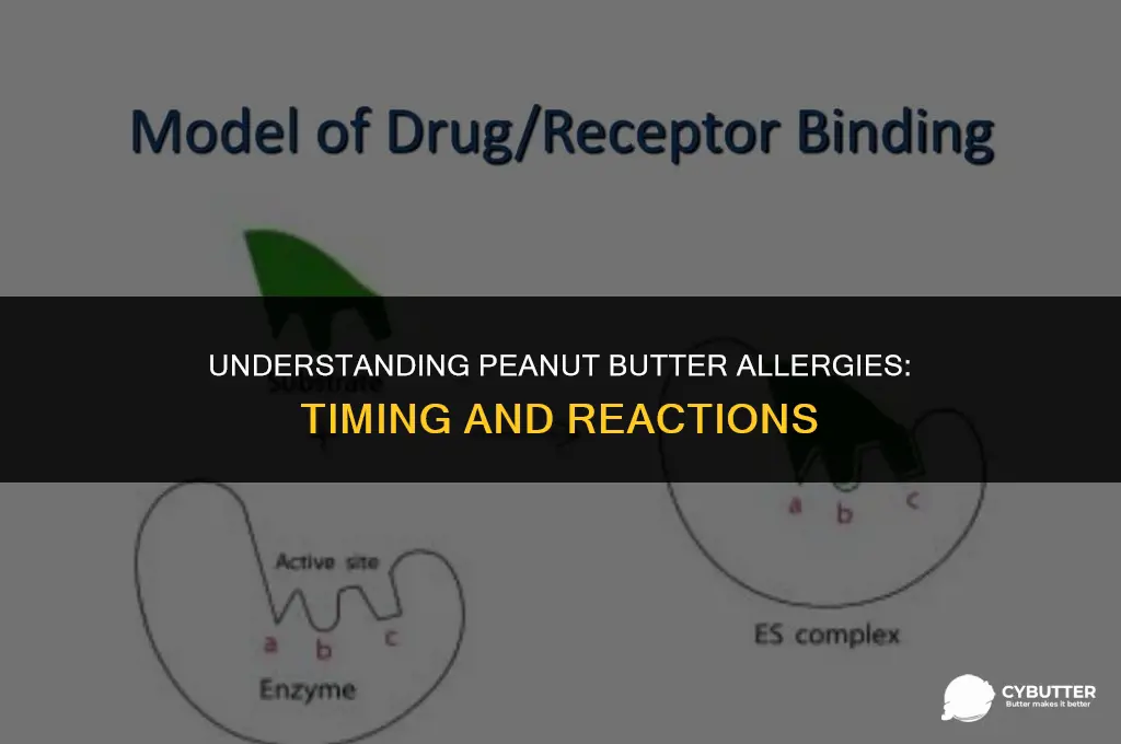 how long does an allergic reaction to peanut butter take