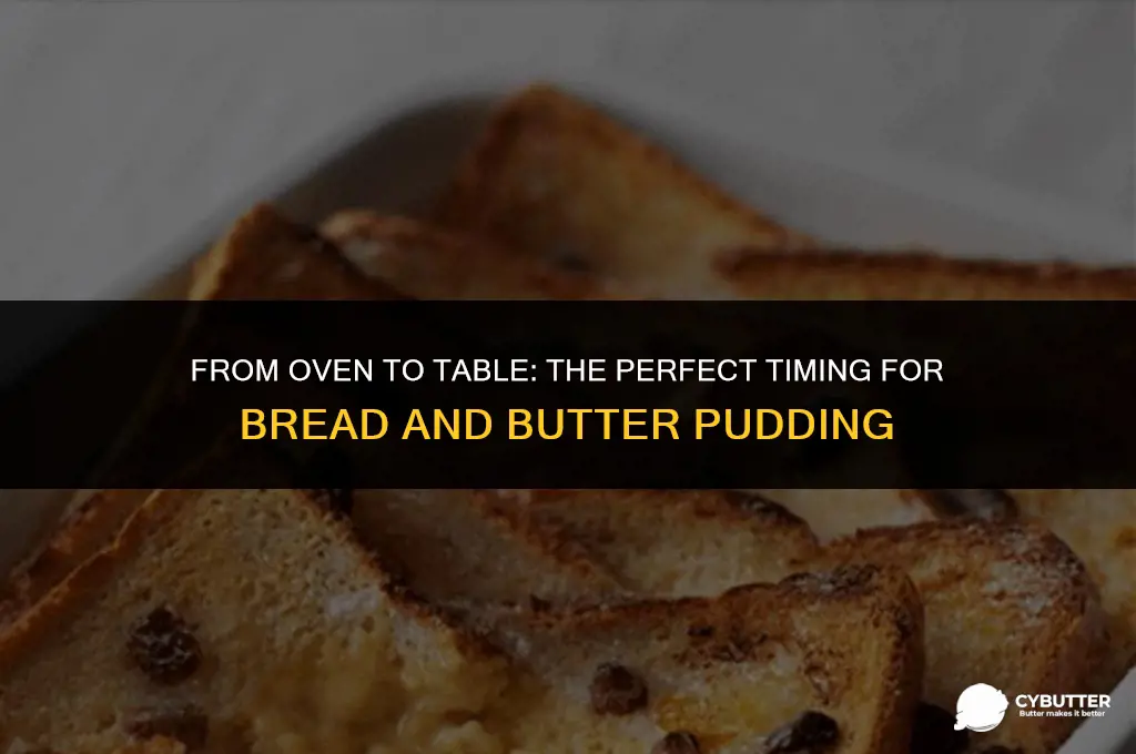 how long does bread and butter pudding take to cook