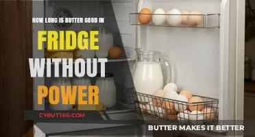 Butter's Fridge Lifespan: How Long Does It Last Without Power?
