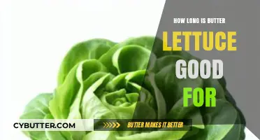 Butter Lettuce Shelf Life: How Long Does It Stay Fresh?