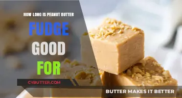 Peanut Butter Fudge Shelf Life: Storage Tips for Freshness