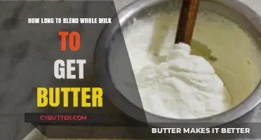 Blending Whole Milk to Butter: Time and Technique Explained