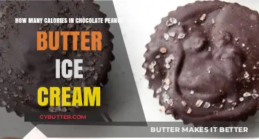 Indulgent Treat: Chocolate Peanut Butter Ice Cream Calorie Count