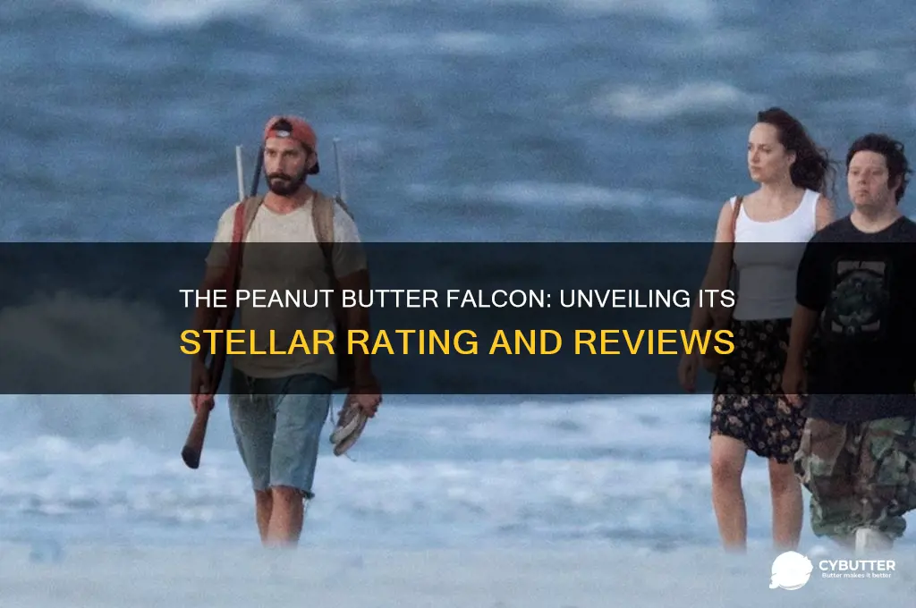 how many stars does peanut butter falcon get