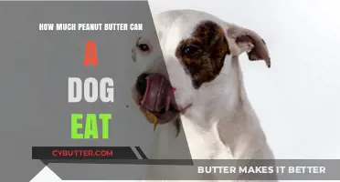 Peanut Butter for Pups: A Guide to Safe and Healthy Treats