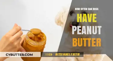 Peanut Butter Treats for Pups: How Often is Safe?
