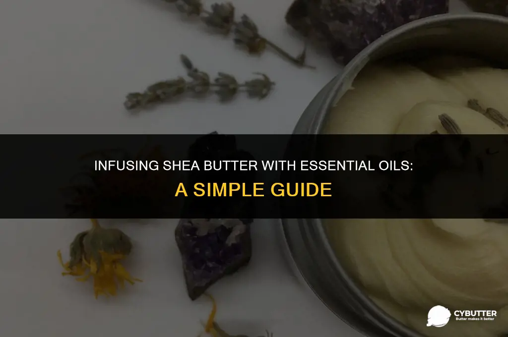 how to add essential oil to shea butter