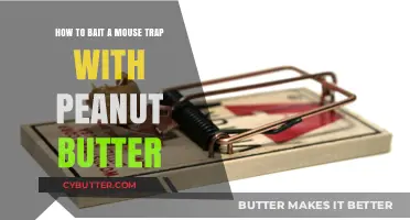 Peanut Butter Power: The Ultimate Guide to Baiting Mouse Traps