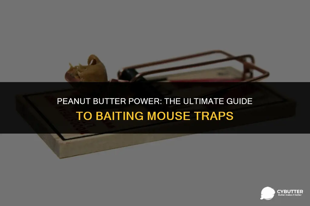 how to bait a mouse trap with peanut butter