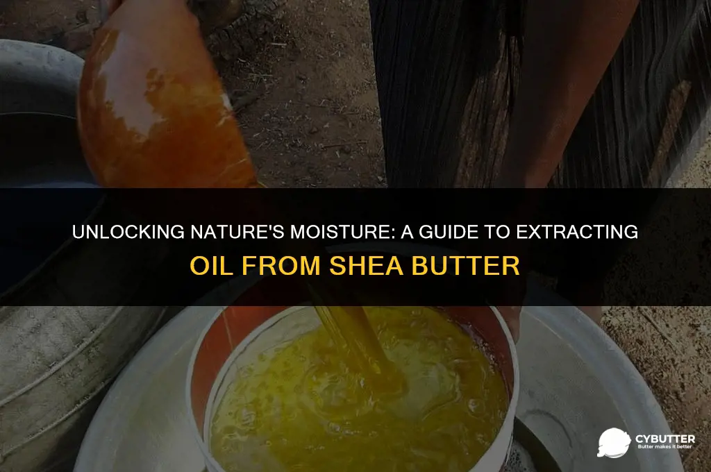 how to extract oil from shea butter