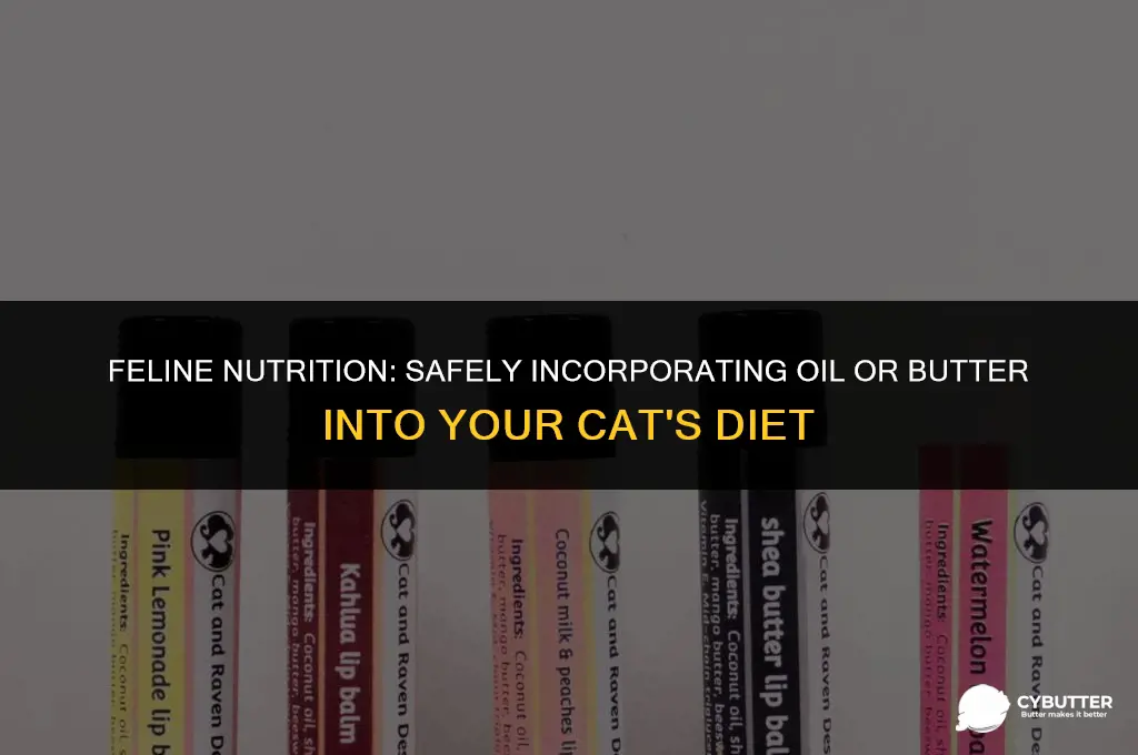 how to feed cats oil or butter
