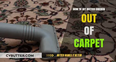Effective Tips to Remove Butter Chicken Stains from Your Carpet