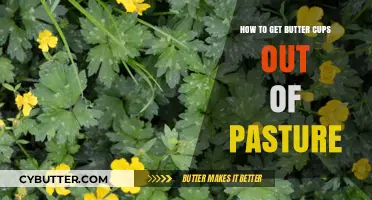Effective Strategies for Removing Buttercups from Your Pasture