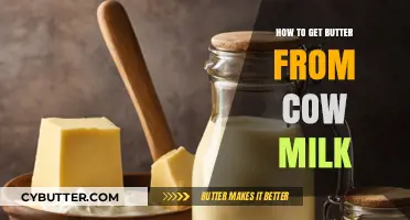 From Cow to Cream: Mastering Butter Making with Fresh Milk