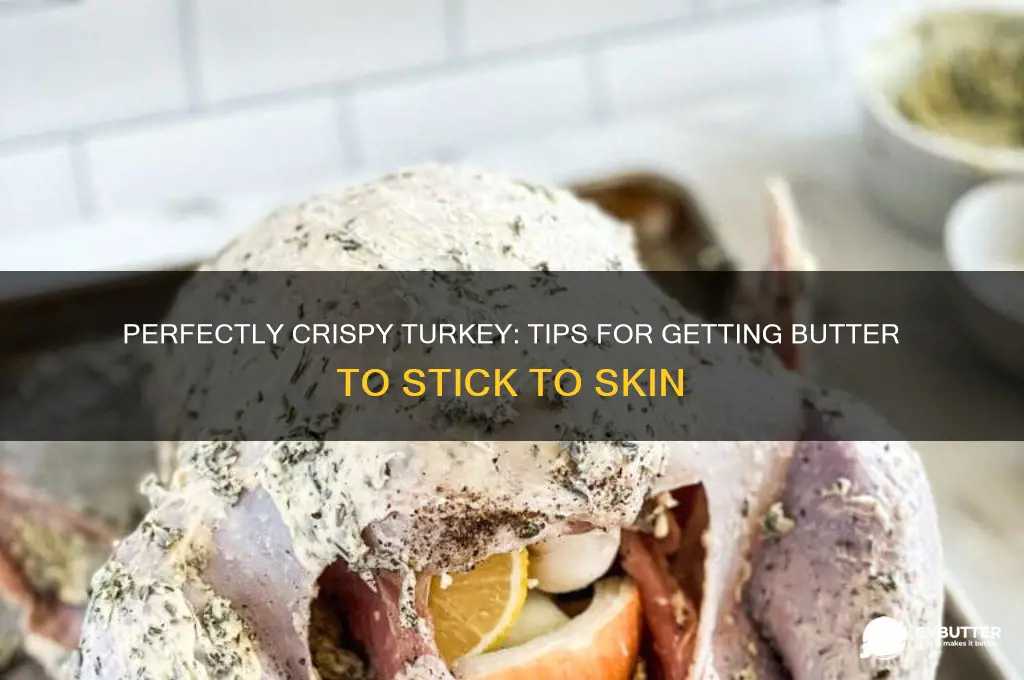 how to get butter to stick to turkey skin
