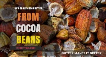 Extracting Cocoa Butter: A Step-by-Step Guide from Cocoa Beans