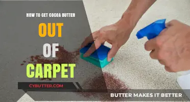 Effective Methods to Remove Cocoa Butter Stains from Your Carpet