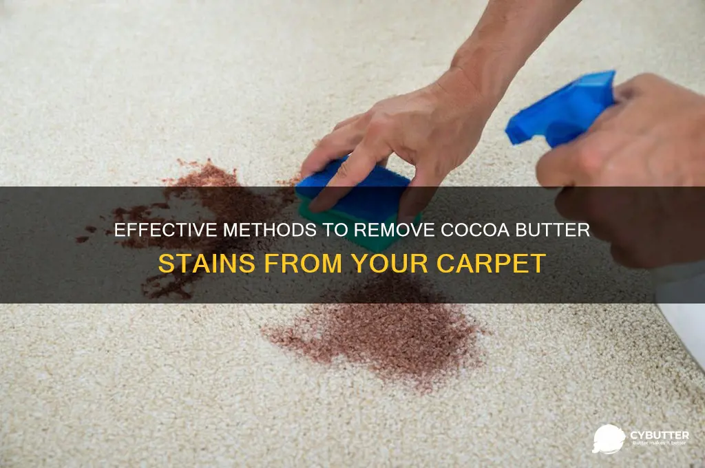 how to get cocoa butter out of carpet