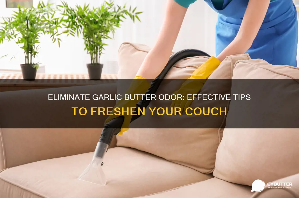 how to get garlic butter smell out of couch