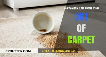 Effective Tips to Remove Melted Butter Stains from Your Carpet