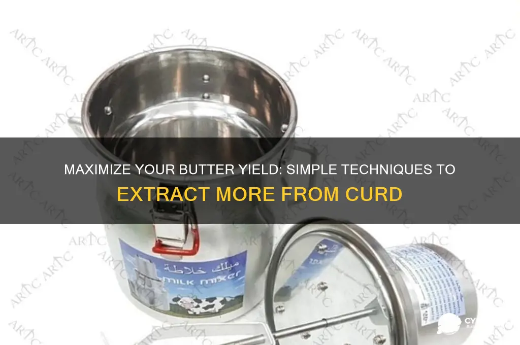 how to get more butter from curd