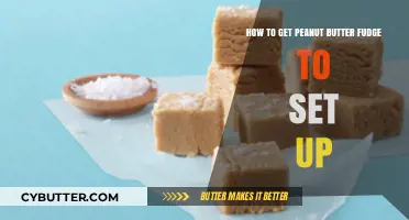 Perfect Peanut Butter Fudge: Tips for a Firm, Delicious Set