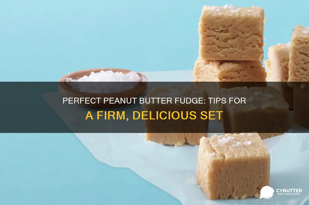 how to get peanut butter fudge to set up