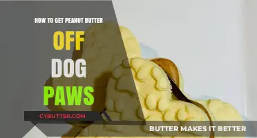 Quick Tips to Safely Remove Peanut Butter from Dog Paws