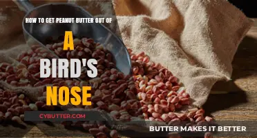 Quick Tips: Safely Removing Peanut Butter from a Bird's Nose