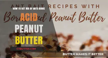 Effective Ant Control: Using Boric Acid and Peanut Butter at Home