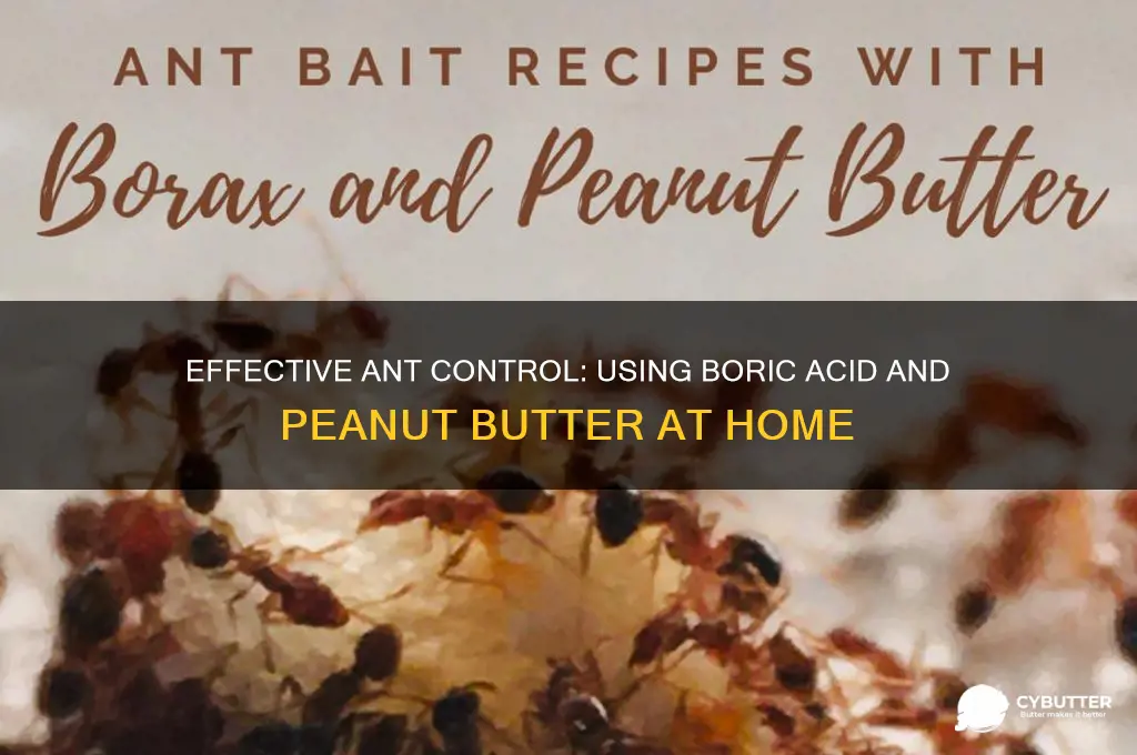 how to get rid of ants boric acid peanut butter