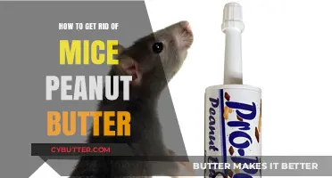 Effective Ways to Eliminate Mice Using Peanut Butter Traps