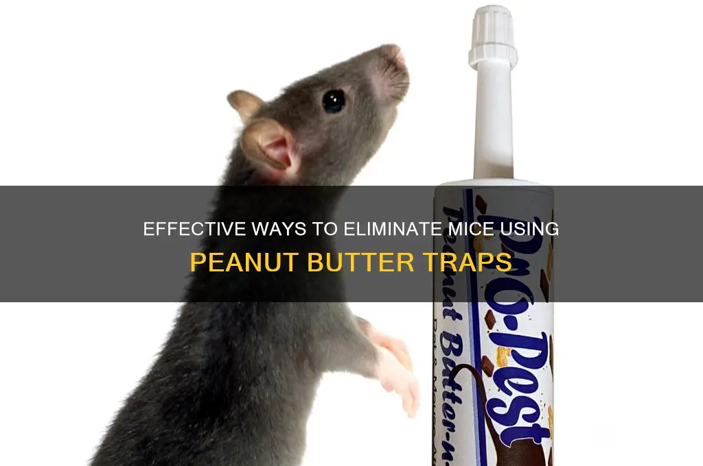 how to get rid of mice peanut butter