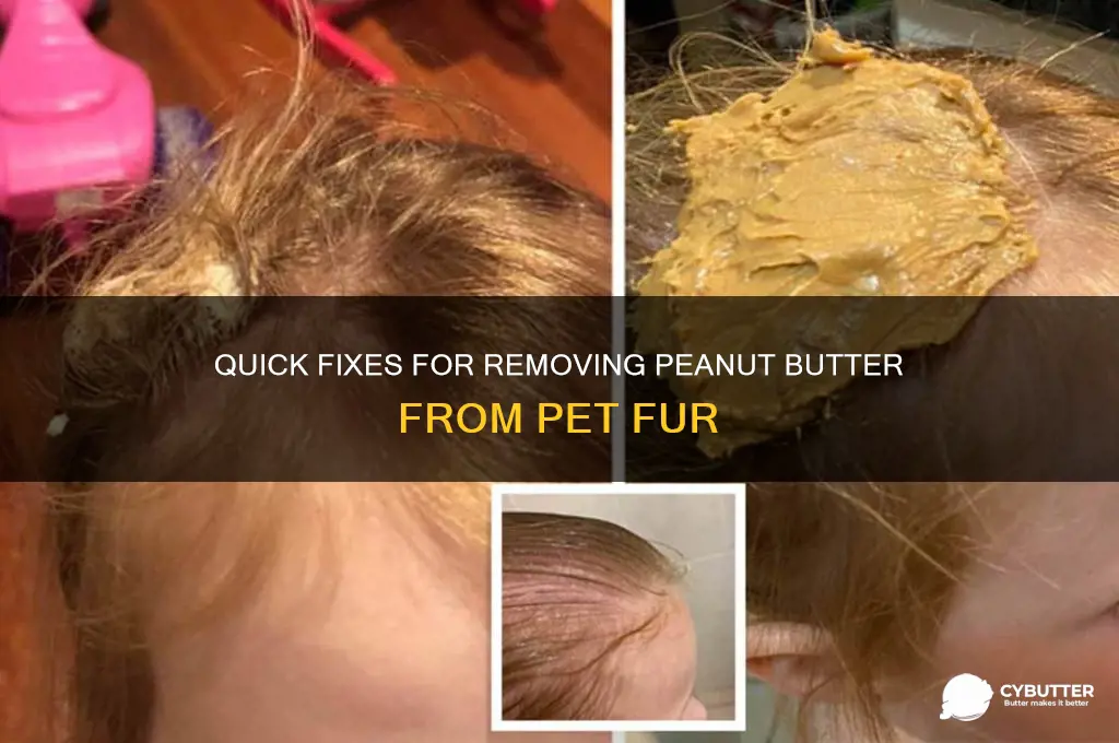 how to get rid of peanut butter in fur