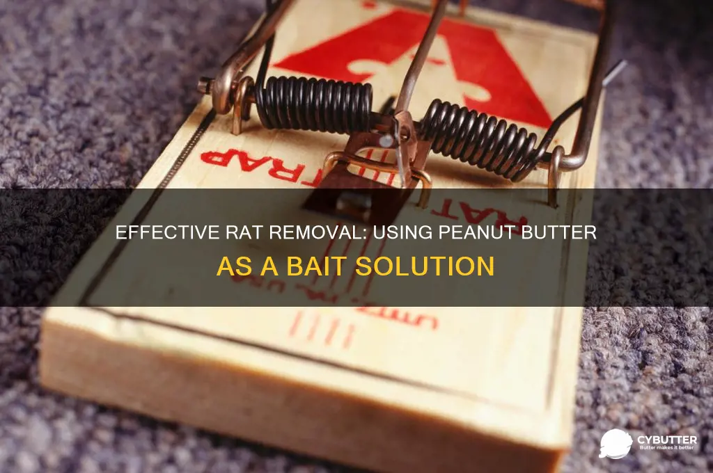 how to get rid of rats with peanut butter