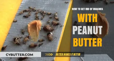Effective Roach Elimination: Using Peanut Butter as a Natural Trap