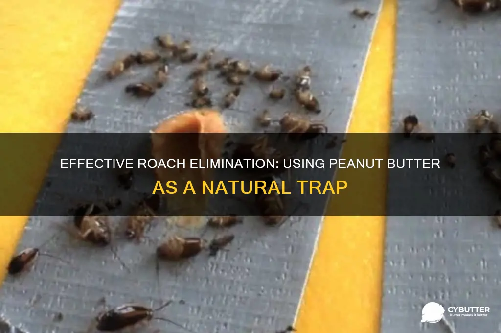 how to get rid of roaches with peanut butter