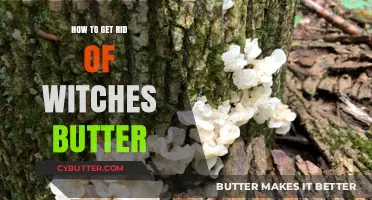 Effective Ways to Remove Witches Butter from Your Trees and Garden