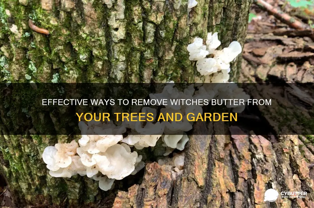 how to get rid of witches butter