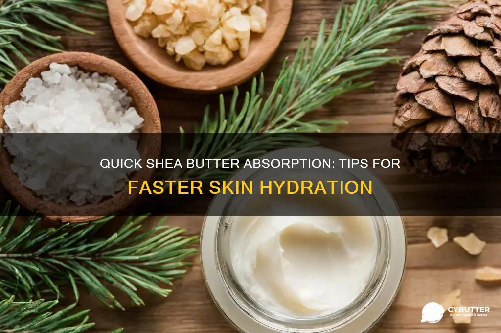 how to get shea butter to absorb quickley