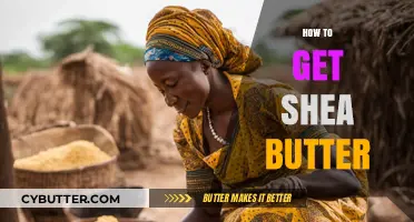 Discovering Shea Butter: A Comprehensive Guide to Sourcing and Extracting