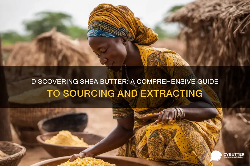 how to get shea butter