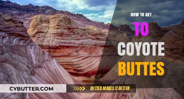 Exploring Coyote Buttes: Essential Tips for Your Adventure Journey