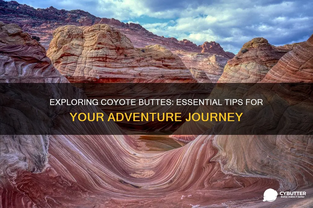 how to get to coyote buttes