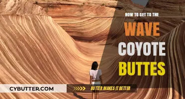 Hiking to The Wave: A Complete Guide to Coyote Buttes
