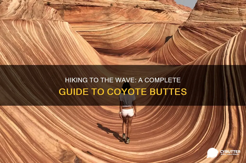 how to get to the wave coyote buttes