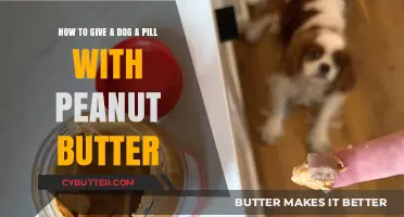 Easy Pill-Giving: The Peanut Butter Method for Dogs