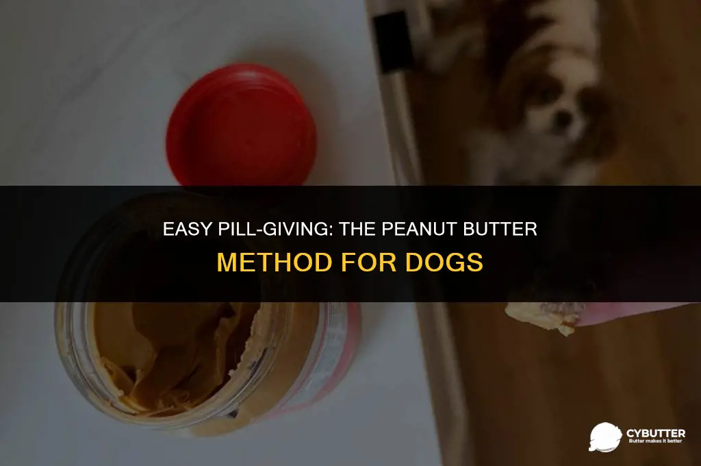how to give a dog a pill with peanut butter