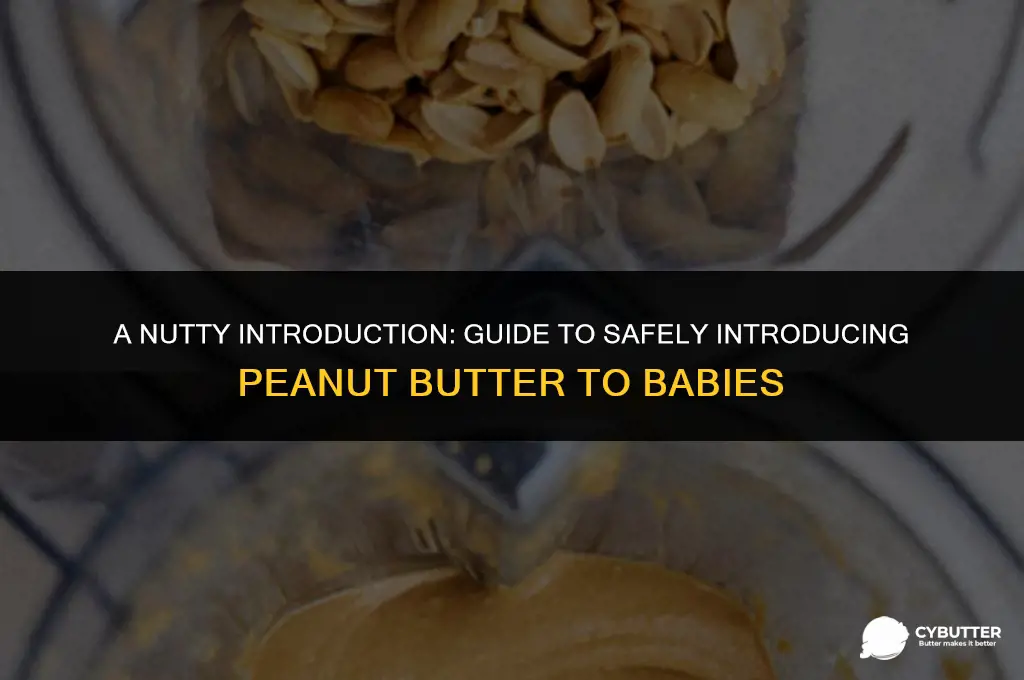 how to introduce peanut butter to babies